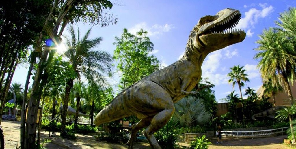 Dinosaur Fossils National Park, , Kerala - Vushii.com Dinosaur Fossils National Park, , Kerala - Vushii.com